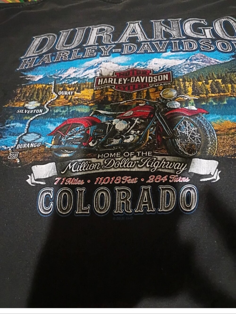 Harley Davidson 3XL Durango Colorado T Shirt